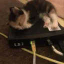 re: