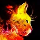 Burningmeow