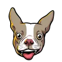 InuBoston