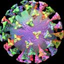 CoronaVirus (COVID-19) icon