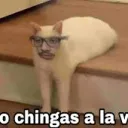 Las tierras del JAromero Romero