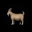 GOAT