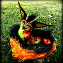 Animal Arts Alcove Server Icon