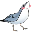 BirdSharks 10s