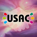 USAC - The Unified Smash amiibo Coalition icon