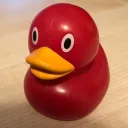 The Lucky Duck Pond