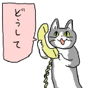 全員集合～！