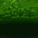 Grass Patch