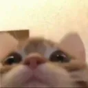 subscriptores owo