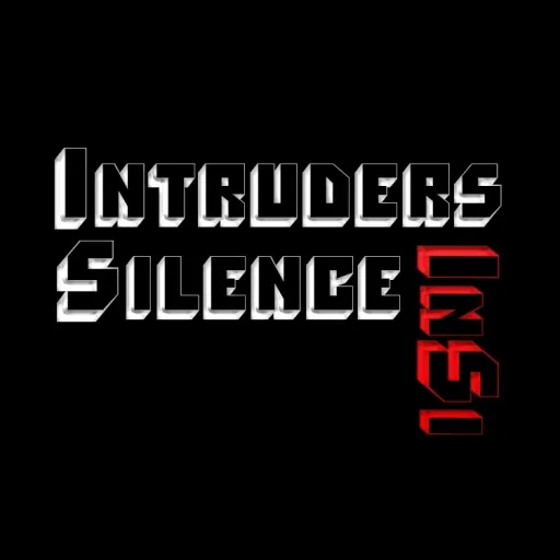 Intruders Silence — мониторинг Discord сервера, статистика и рейтинг