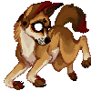 The Dingo Den
