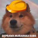 Zaprawa Subs Archiwum