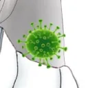 細胞の闘技場