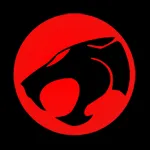 Ch1ll_0ut — мониторинг Discord сервера, статистика и рейтинг