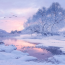 Warriors of The Curse Server Icon