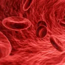 Blood Clot Disco