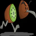 Official THE FUNKY KIWI