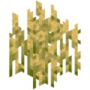 The Veggiepack Official Discord