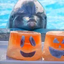 Captive Cetaceans