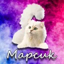 Mapcuk96