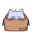 N30N-Kitty's Playhouse