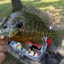 West Michigan Fishing
