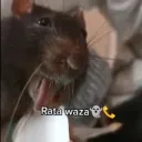 👻Insanos Wazaaa👻