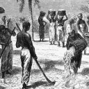 The Plantation's icon