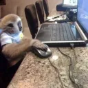 ⌨🖱᲼᲼᲼