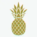 Mr. Pineapple's Server
