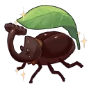 🌱 Insectogarden 🌈