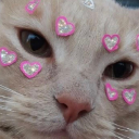 Catmojis icon