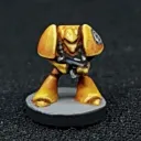 Specialist Command