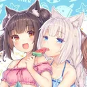 ₊˚  Neko Cafe ˚₊