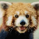 NewFlowerGirl58's Panda Hub