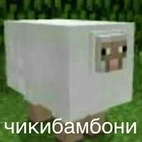 Chikibamboni's? — мониторинг Discord сервера, статистика и рейтинг