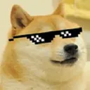 The Lair of Doge
