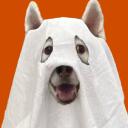Homespook Community icon