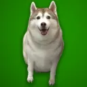 Homestuck Community Discord server icon