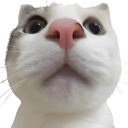BOOBA ✦ SAGA avatar
