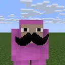 DaNoobs
