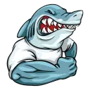 [DE]SharkNation