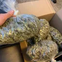 BUY WEED