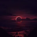 Zuri`s Discord 🛸