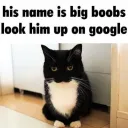 The
