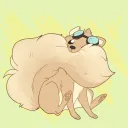 Drawing elves on shelves