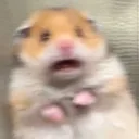 がるのへや