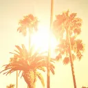 ✨LA Expats✨