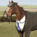 Horse AC0