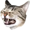 RianMcFlyin
